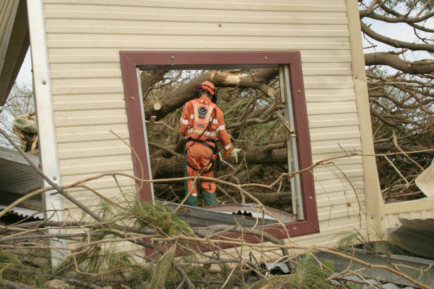 Best Hazardous Tree Removal  in Snow Hill, MD